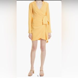 NWT Cinq a Sept, Sierra Wrap Front Long Sleeve Minidress
CINQ À SEPT size 2